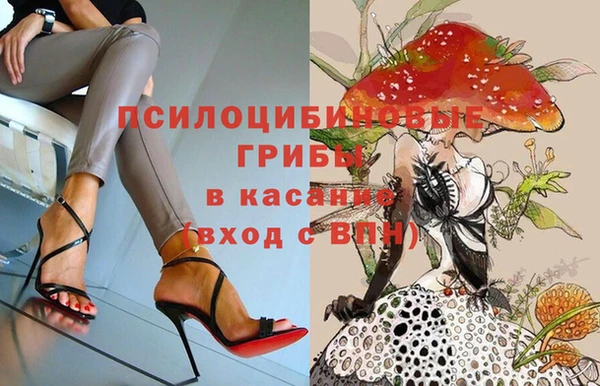 ECSTASY Алексеевка