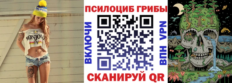 mega tor  Катав-Ивановск  Псилоцибиновые грибы ЛСД  купить наркотик 